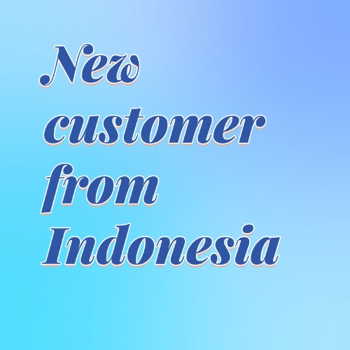 New customer from Indonesia order handheld carton waste strippers